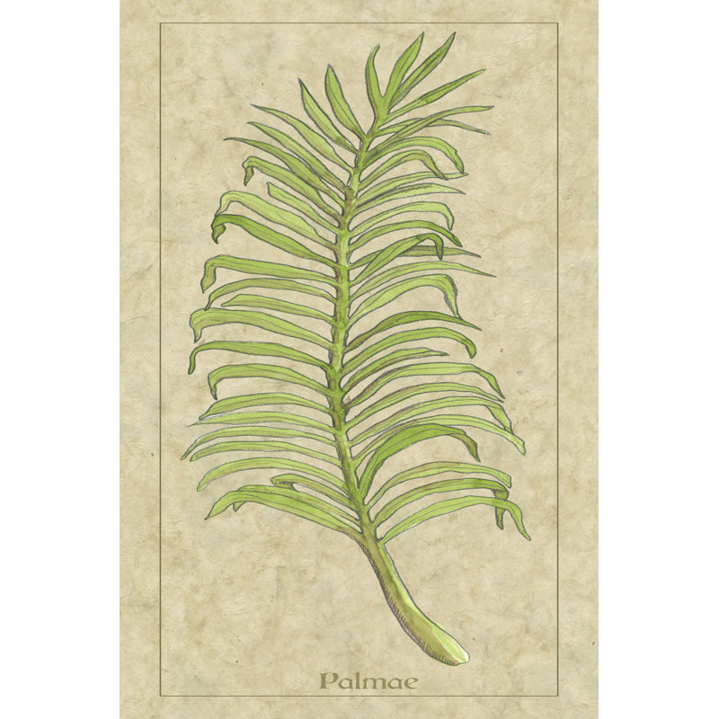 Palmae Leaf - Wrapped Canvas Art Prints, 122cm H x 81cm W x 3.8cm D