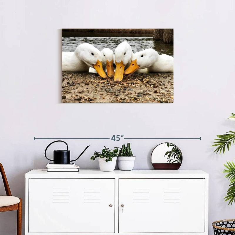 Pekin Ducks de Brampt, H 20 po x l 30 po