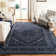 Olius Performance Oriental Rug