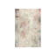 Pemanent Rosette Print by Samuel Kane-25820567-25820572