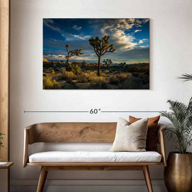 Paysage du parc national Ravi Joshua Tree, H 30 po x l 45 po