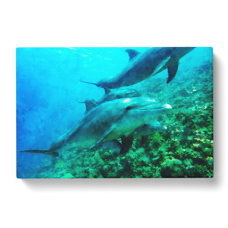 Dolphins - Wrapped Canvas, 35cm H x 50cm W x 3cm D