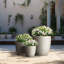 Jardinière Lughan-1732785471