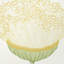 Papier peint Celinda-106409128