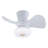 22 In LED Flush Mount Ceiling Fan Light