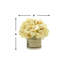 Cream Beige Hydrangea Cluster