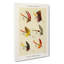 Lake Fishing Flies Version 7 by Mary Orvis Marbury - Wrapped Canvas-55312193