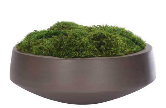 Moss Mound, Concrete Bowl, 17wx17dx9h