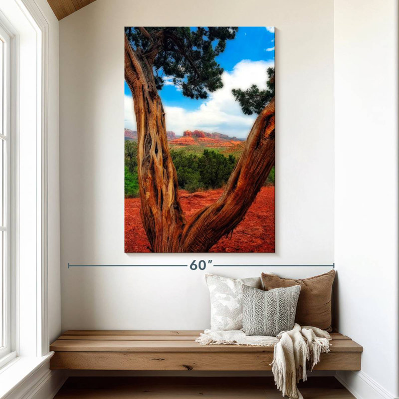 Aime Desert Reds, 51" H x 34" W