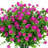 Mixed Assortment Arrangement-146518977