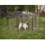 Enclos pour chien Darla-30992027