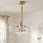 Oshri 6-Light Chandelier in Oil Rubbed Bronze-122570613
