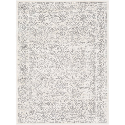 Oriental Indoor Rug
