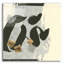 "Collage VI" par Chris Paschke-1771502025