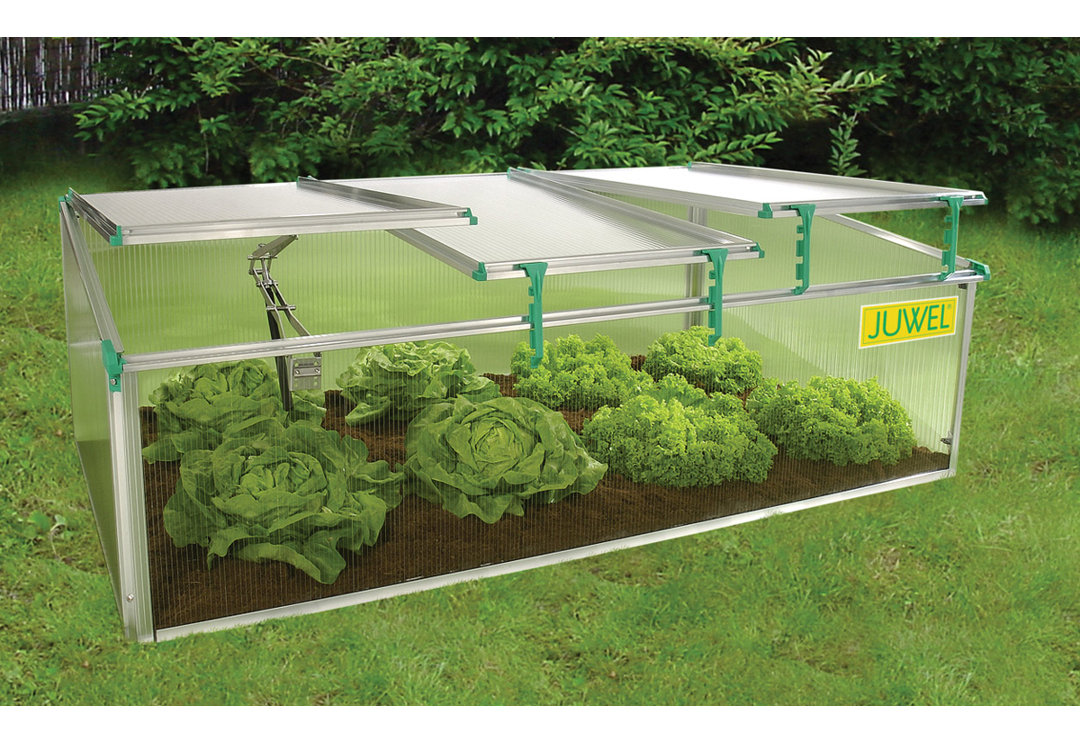 BioStar Cold Frame 31.2" W x 59.04" D Juwel