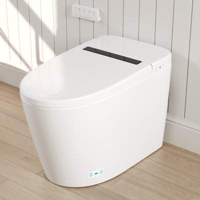 Toilette à bidet intelligente DeerValley