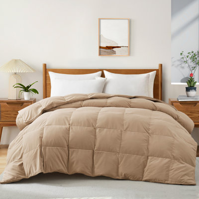 600in³/oz Fill Power All Season Down & Feather Blend Comforter