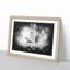 A Lion - Picture Frame Graphic Art Print-56876131-56876130