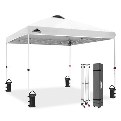 Pavillon escamotable 10 pi X P 10 Auvent en métal