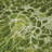 Tinatin Abstract Indoor / Outdoor Rug-681824969