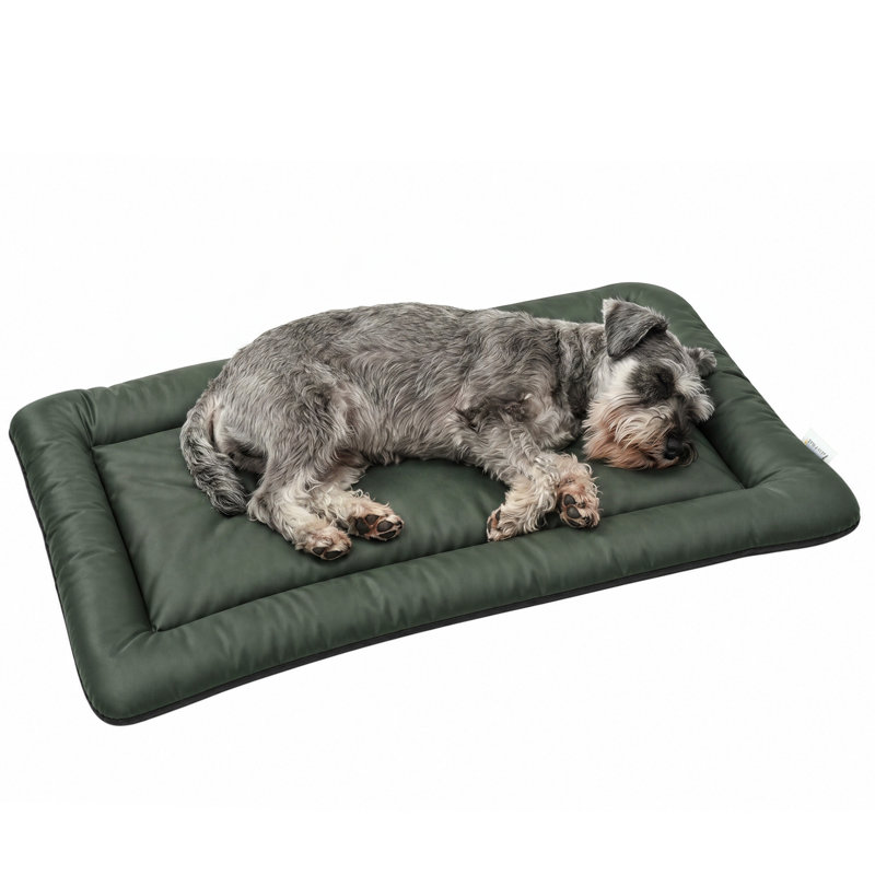 Pet Bed