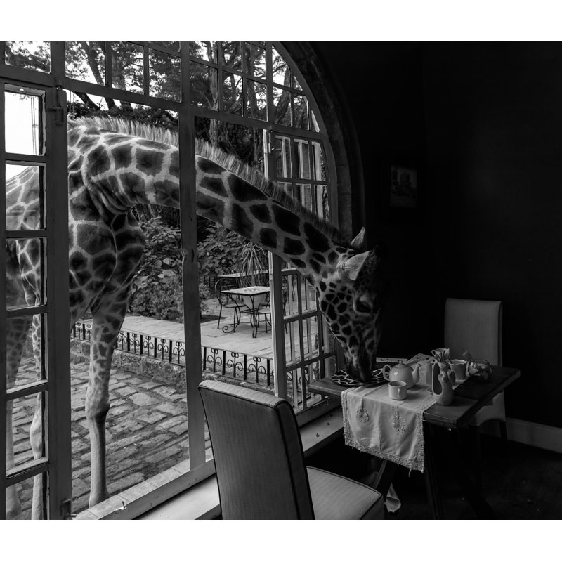 Wrapped Canvas Print, 81.28 cm H x 121.92 cm W
