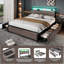 Cicley Storage Bed-251223313