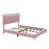 Rose est en rupture de stock