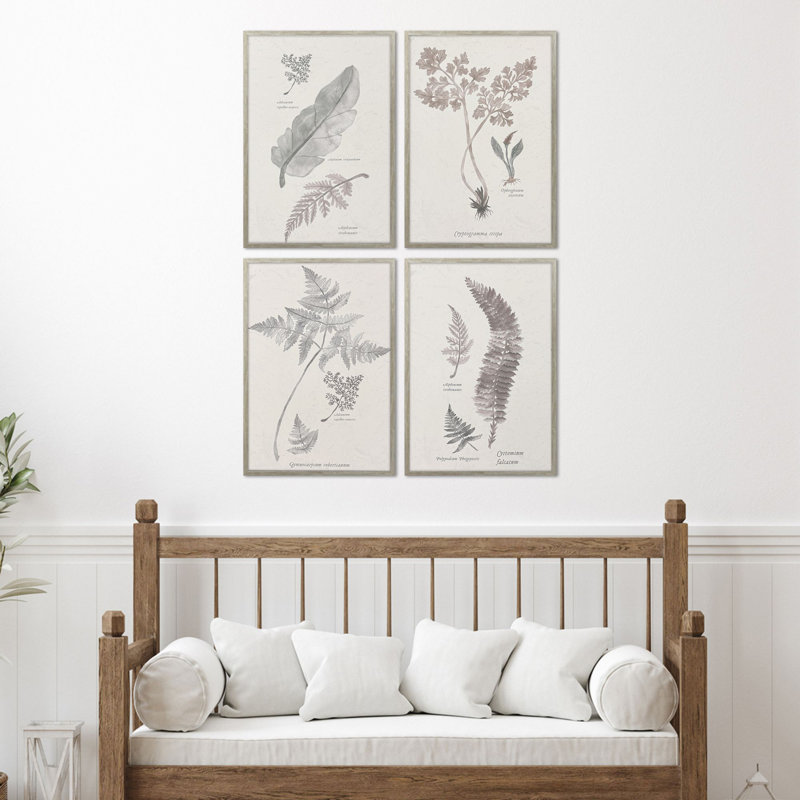 Fern Study Framed Art