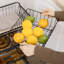 Steel Freestanding Storage Basket