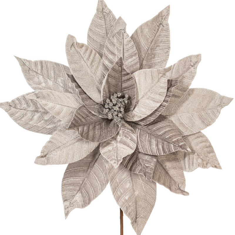 Tiges de poinsettia Clementina, Argent
