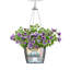 Hanging Planter-16493106-66329965