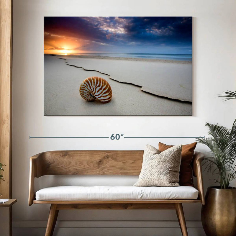 Fraser island beach shell Aletra, H 34 po x l 51 po
