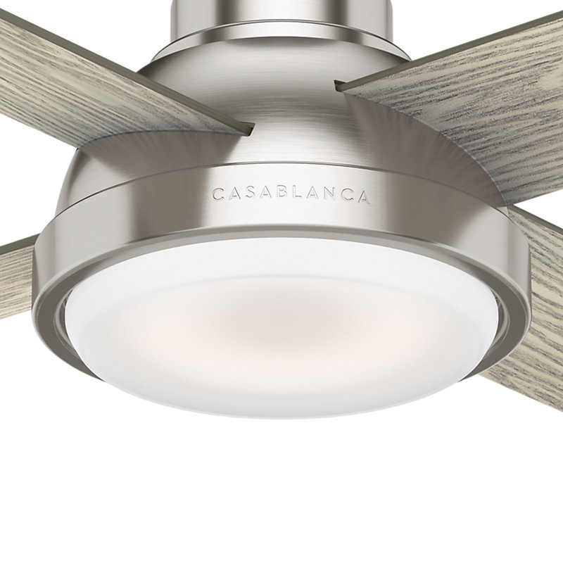 54" Levitt 4 - Blade LED Standard Ceiling Fan with Wall Control and Light Kit Included