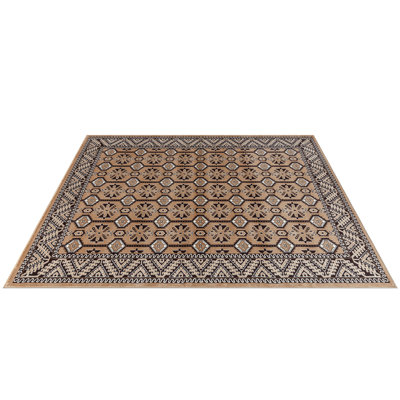 Oriental Indoor / Outdoor Area Rug