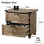 Classeur en stratifié à 2 tiroirs Rustic Oak