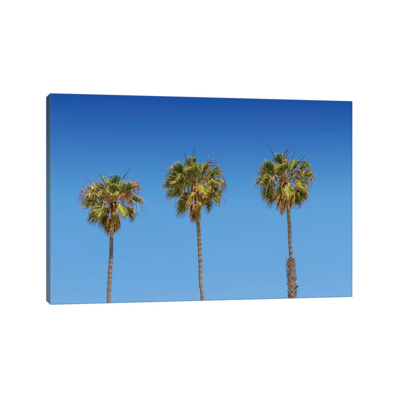 Minimalistic Palm Trees by Melanie Viola - Wrapped Canvas Print, 20.32 cm H x 30.48 cm W