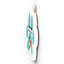 Gruia Wall Decor