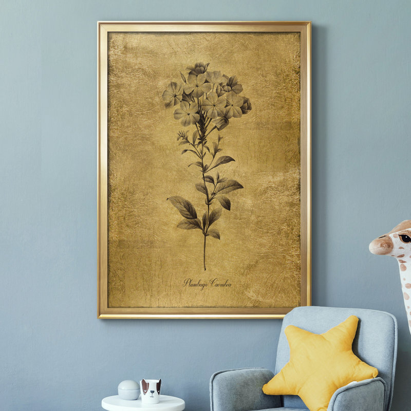 Ameelya, croquis dorés botaniques II, impression sur toile encadrée, H 26,5 po x l 36,5 po x P 1,5 po, Or