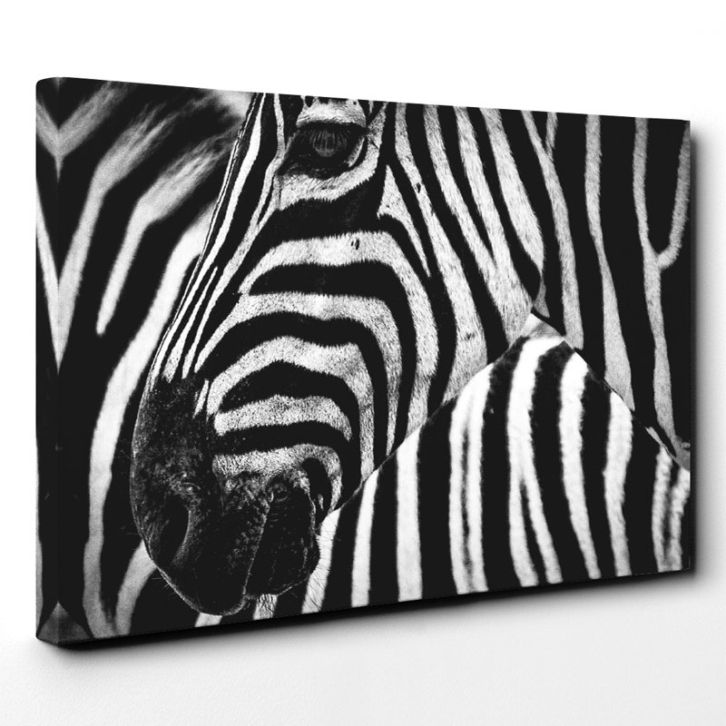 Wrapped Canvas Print, 50cm H x 76cm W