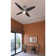 Driffield 54'' Ceiling Fan with LED Lights