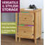 Stockholm 48cm Wide 2 -Drawer File Cabinet