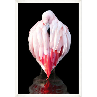 " Flamingo Delicacy 1 "