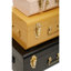 Forbush 3 Piece Accent Trunk Set-2024651996
