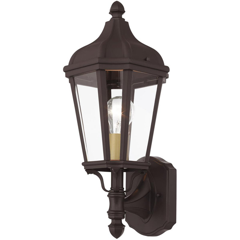 7-Inch 1-Light TBK Outdoor Wall Lantern Clear Glass, Bronze/Satin