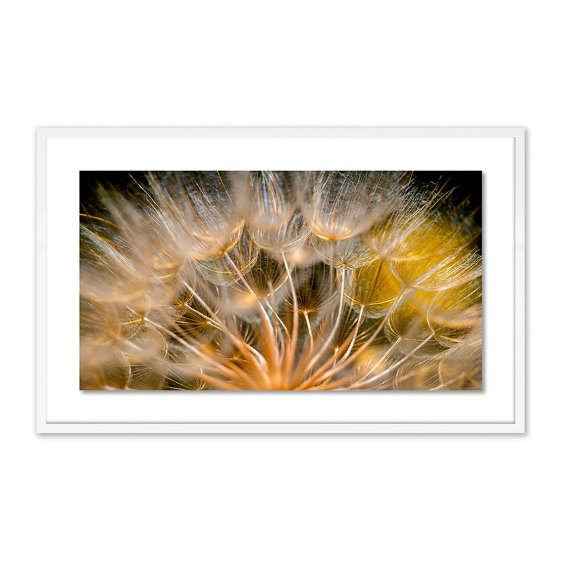 « float away » par geoffrey baris-cadre photo, impression sur papier, H 25 po x l 40 po x P 2,5 po, Blanc