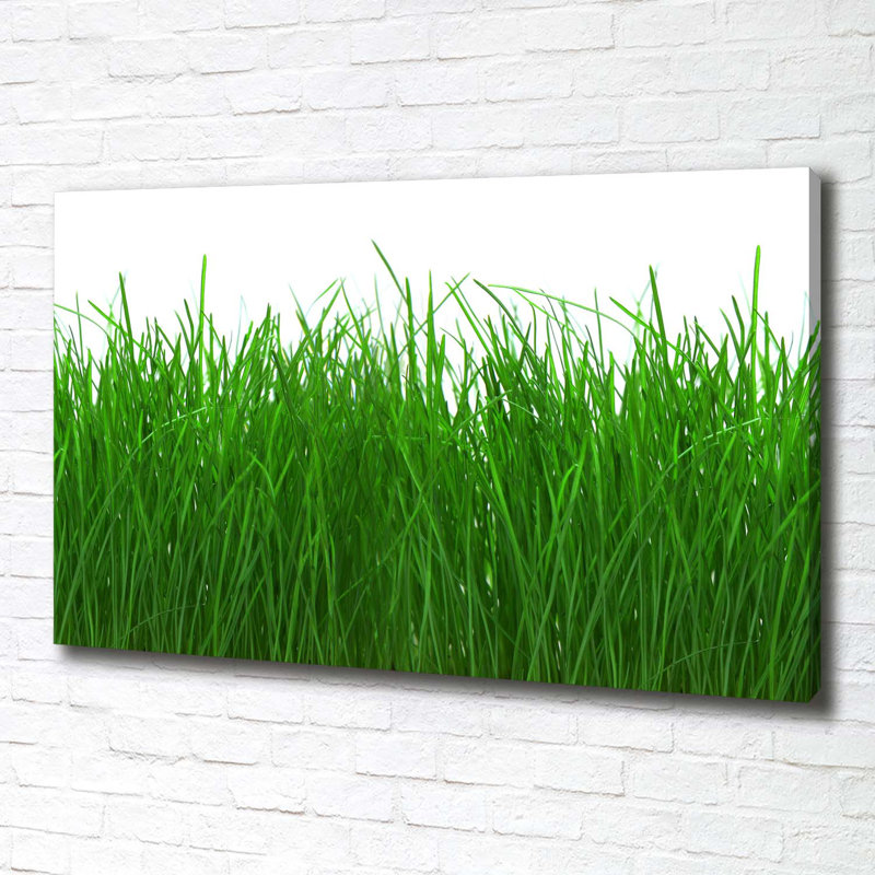 Grass - Wrapped Canvas Print