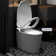 Smart  Bidet Toilet,Foot Sensor Operation,Dual Auto Flush,Heated Bidet Seat, Night Light
