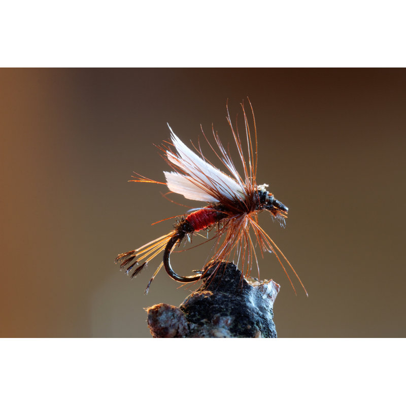 «Bethanye Red Fly Fishing Lure» sur toile par Hassechr, H 12 po x l 18 po x P 1,25 po