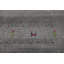 Tapis tribal gris Gabbeh 5 x 8 po